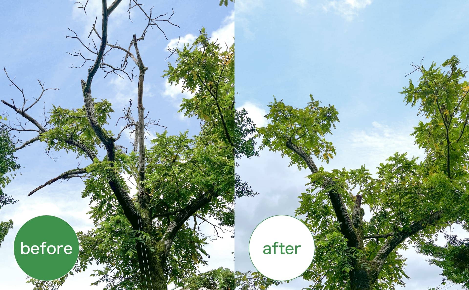 before after