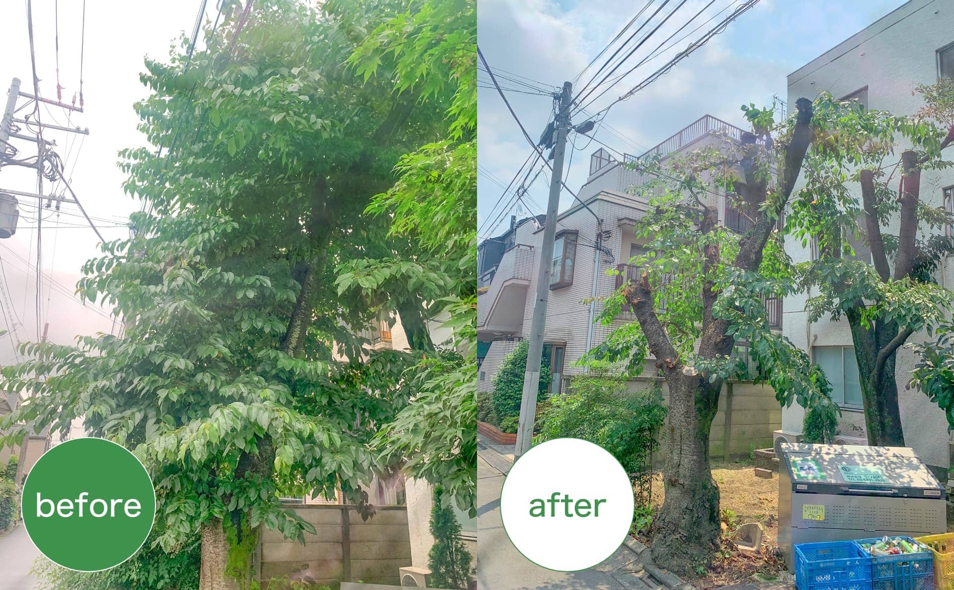 before after