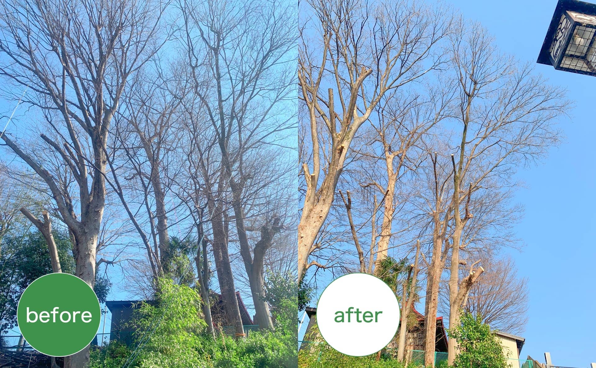 before after
