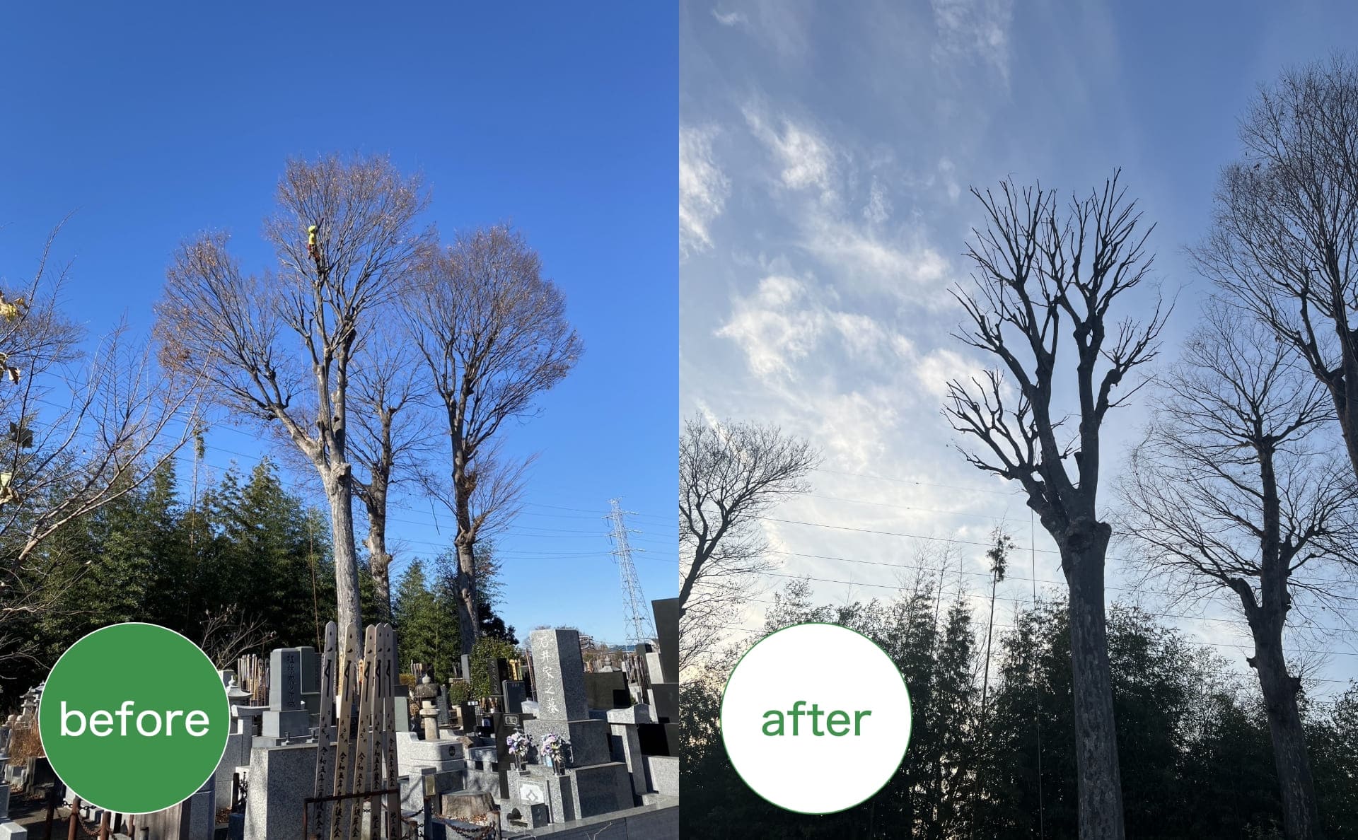 before after