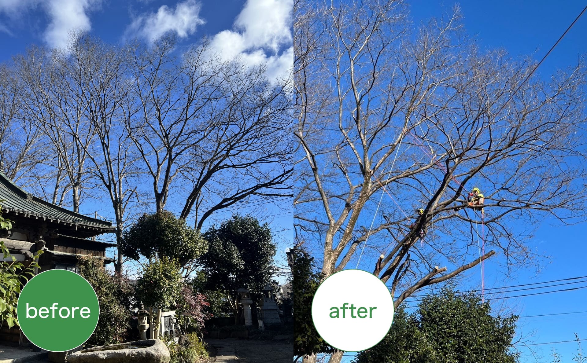 before after